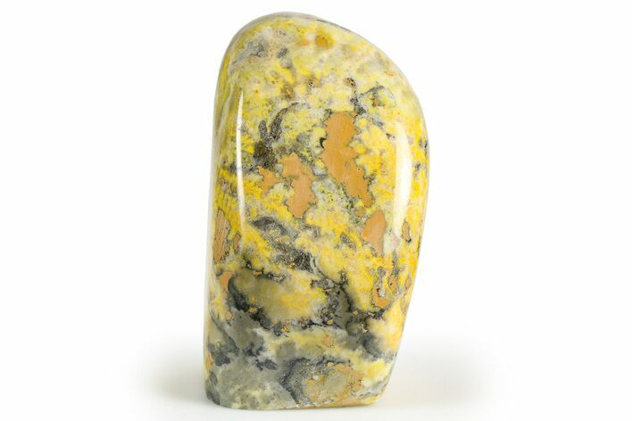 Free-Standing, Polished Bumblebee Jasper - Indonesia #261821